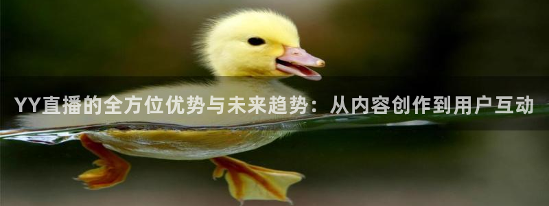 nba在线观看免费观看24直播网：YY直播的全方位优势与未来趋势：从内容创作到用户互动