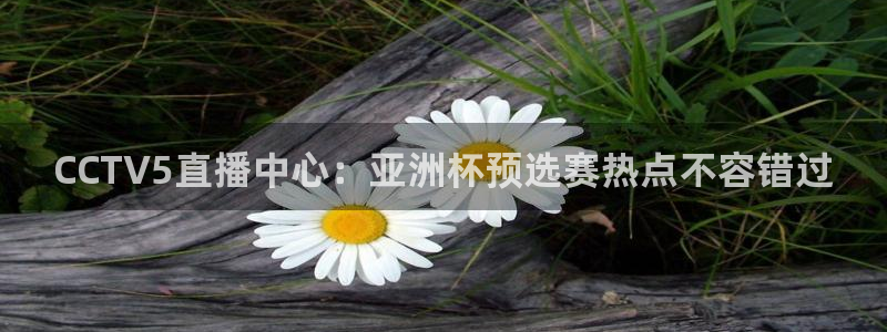 24直播网nba直播吧,足球直播五大联赛：CCTV5直播中心：亚洲杯预选赛热点不容错过